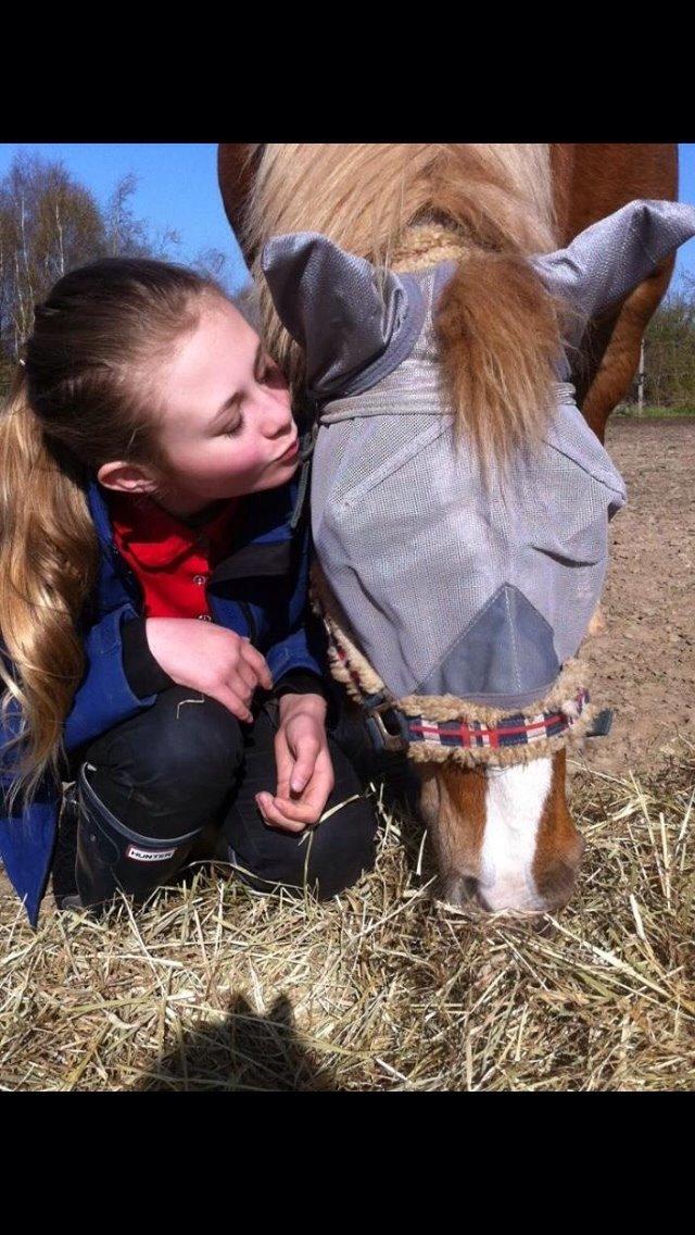 Anden særlig race Herkules  billede 15