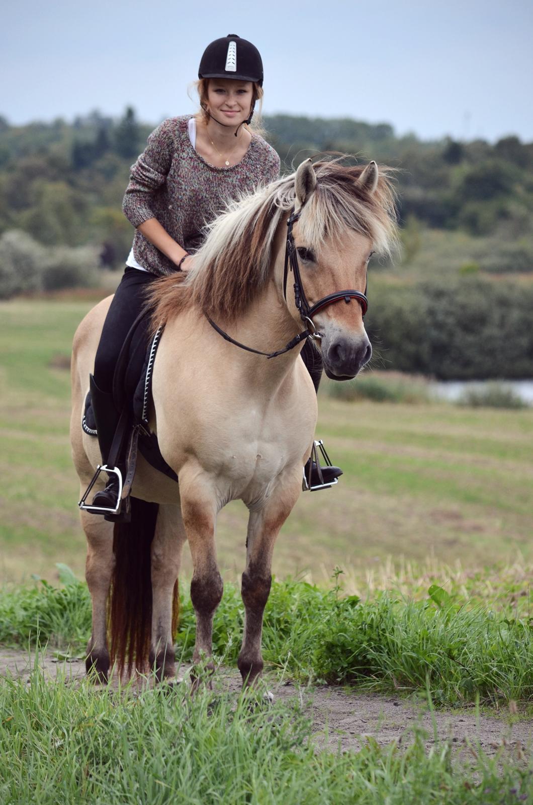 Fjordhest Laika *Soulmate* - Første tur alene. <3 Taget af: Min mor.  billede 5