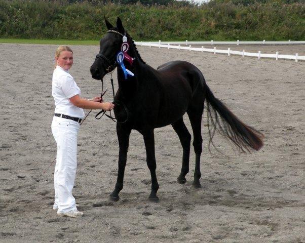 Pinto Kilgast's Nobell billede 3