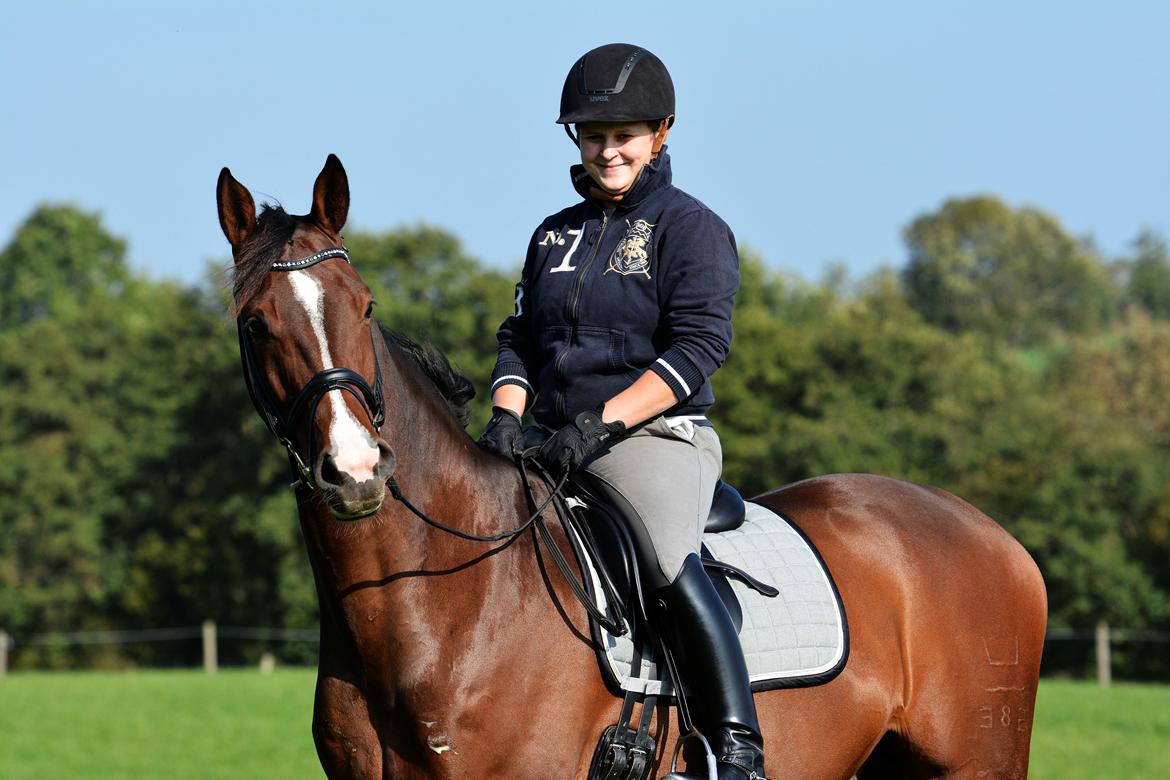 Dansk Varmblod Camarro SR billede 8