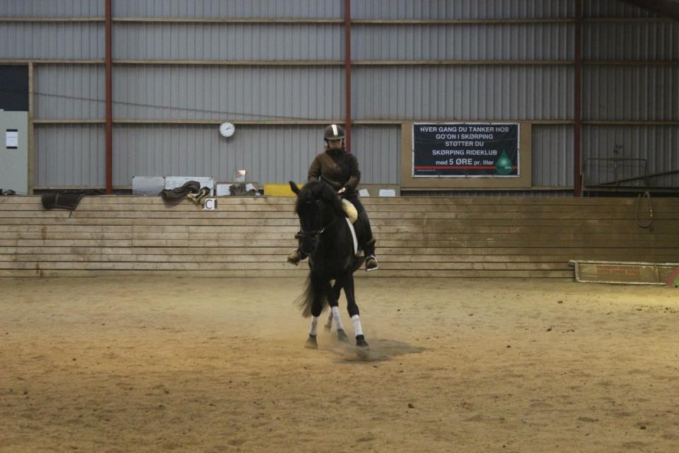 Pinto Kilgast's Nobell billede 9