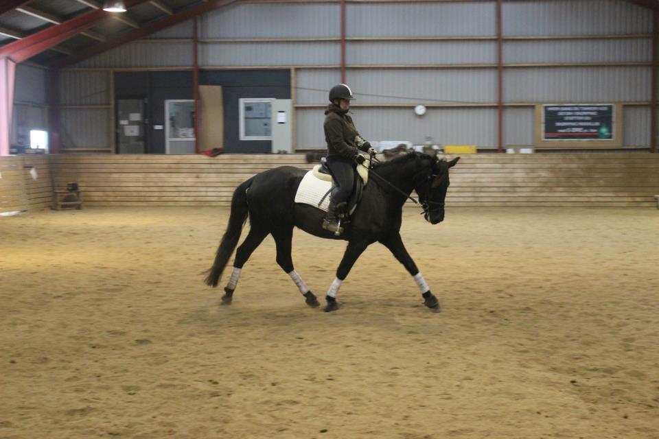 Pinto Kilgast's Nobell billede 10