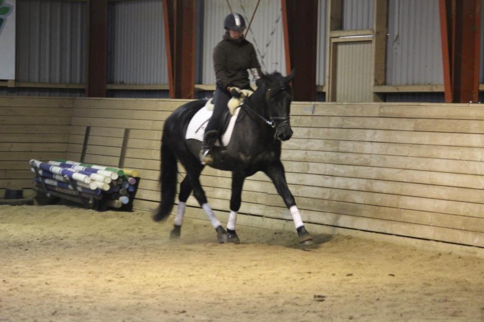 Pinto Kilgast's Nobell billede 7