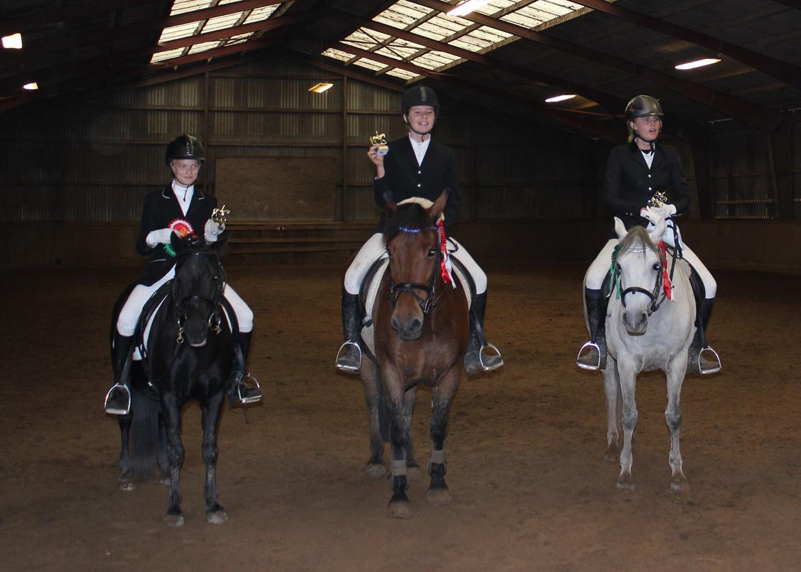 Anden særlig race Charley - Klubmester på Charley <3  billede 2