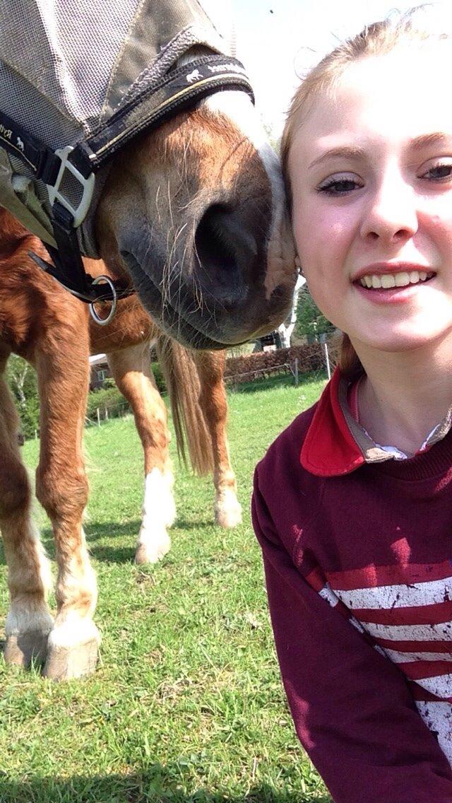 Anden særlig race Herkules  billede 20