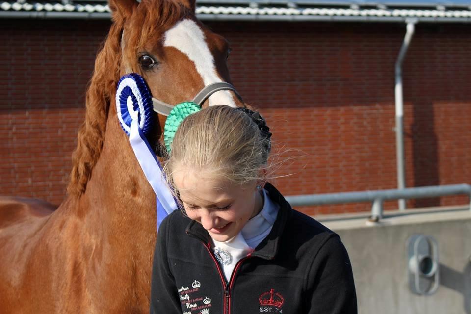 DSP Møgelvangs Ja'dore - Efter nogle fine ture  billede 2