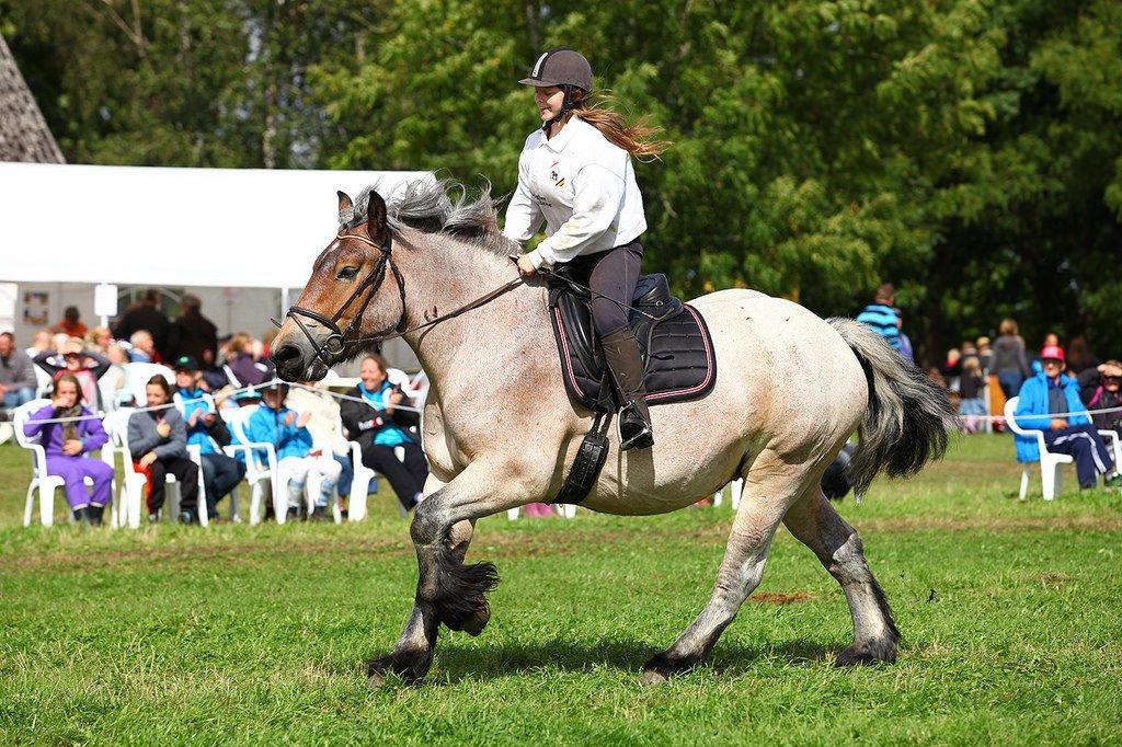 Belgier Beatrice af Skelmosegaard billede 8