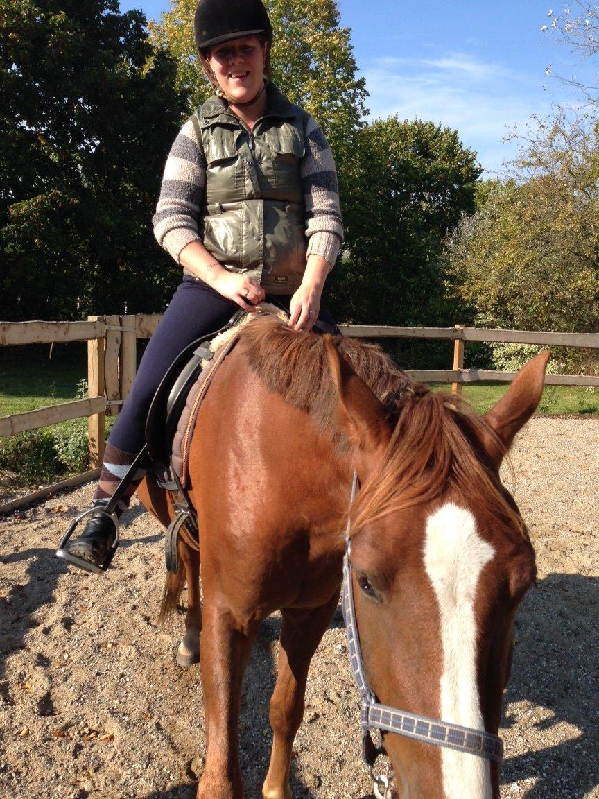 Anden særlig race Lando - 2. gang med rytter billede 11