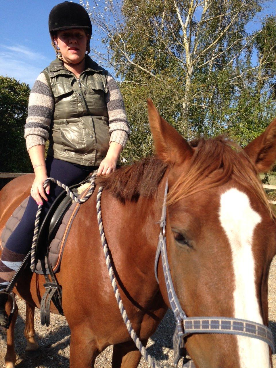 Anden særlig race Lando - 2. gang med rytter billede 12