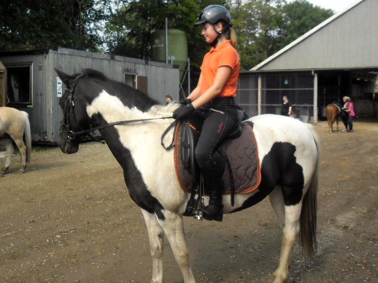 Anden særlig race Fie billede 5