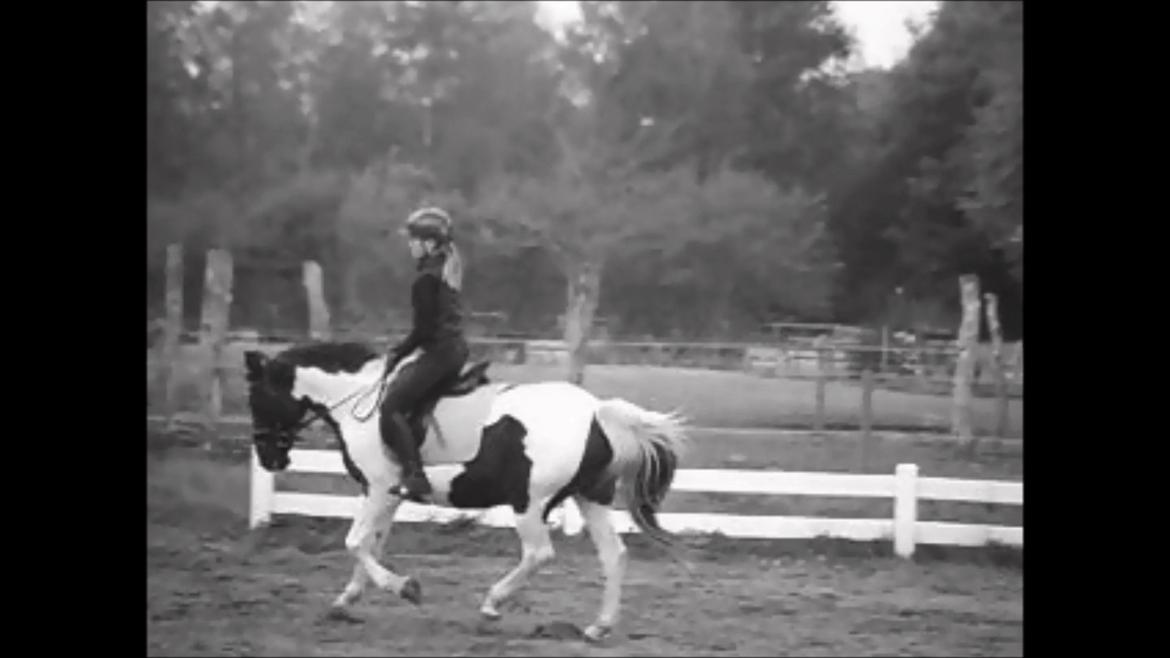 Anden særlig race Fie billede 7