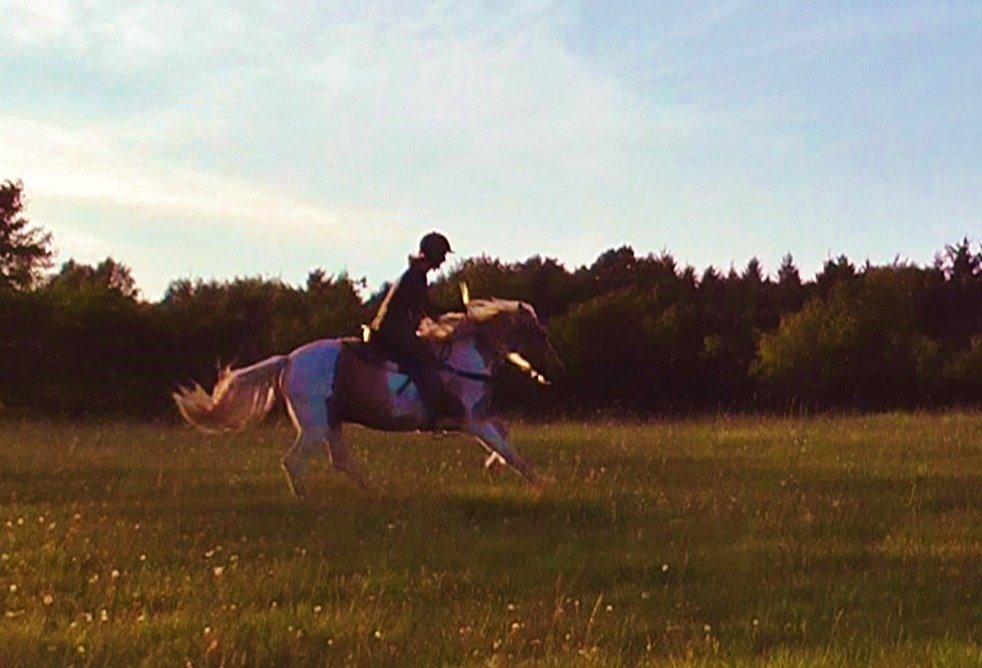 Irish Cob Crossbreed Ryttergaarden's Jiya (tidl. Tøsen) - 5. galop ! Er SÅ stolt billede 15