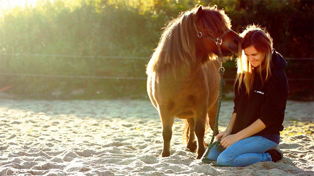Anden særlig race Fie - En pony der giver så meget, uden at bede om noget i retur udover kærlighed og tillid. <3 (Billede taget ud fra video) billede 4