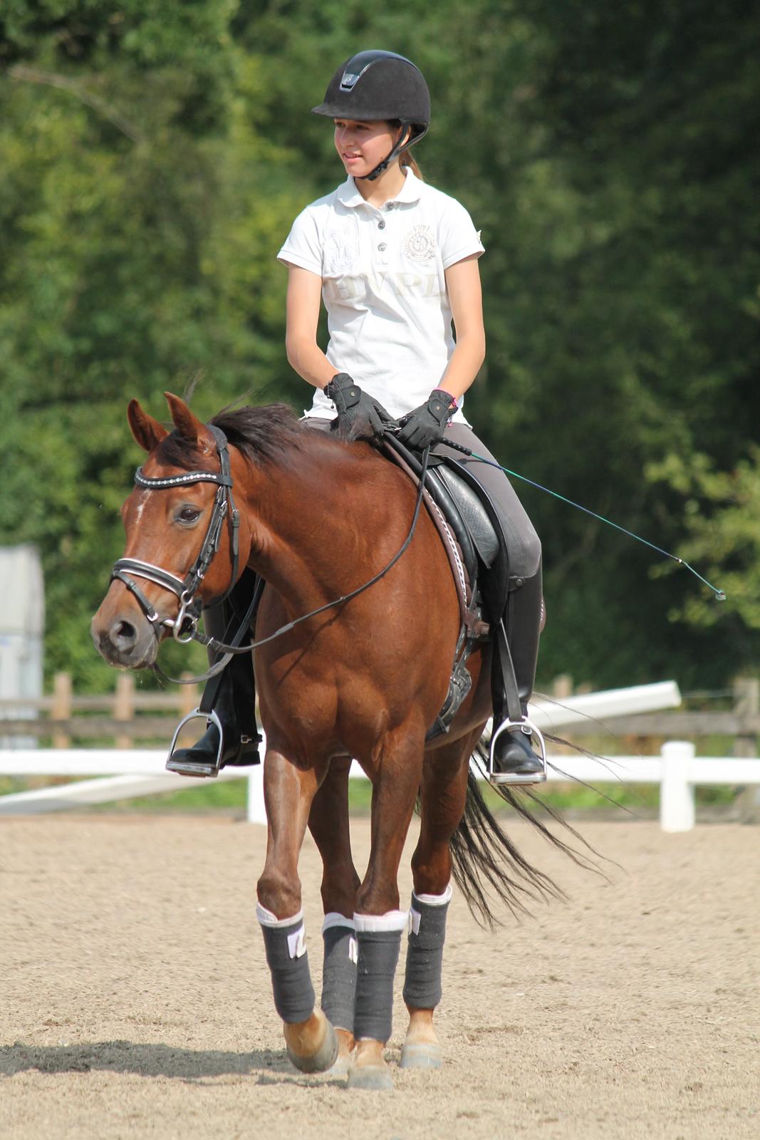 Tysk Sportspony Cascadura B-pony - Dygtig Cassi til Lisbets Seierskildes sommerskole 2014 <3 :D billede 4