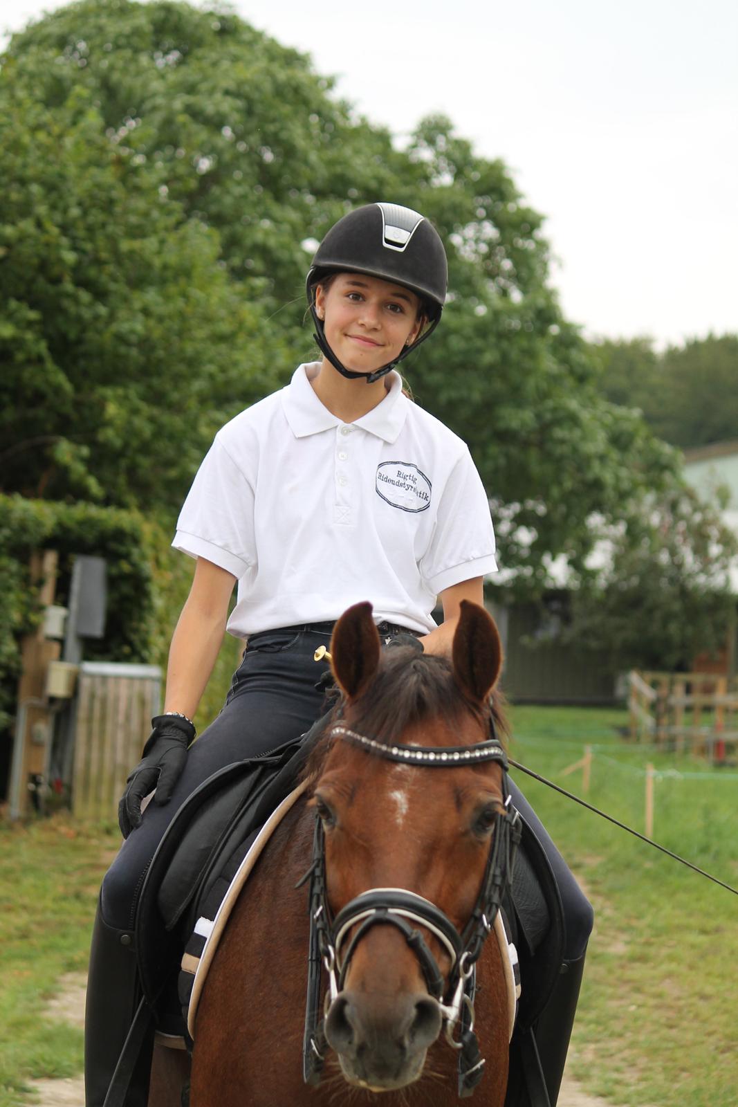 Tysk Sportspony Cascadura B-pony billede 19