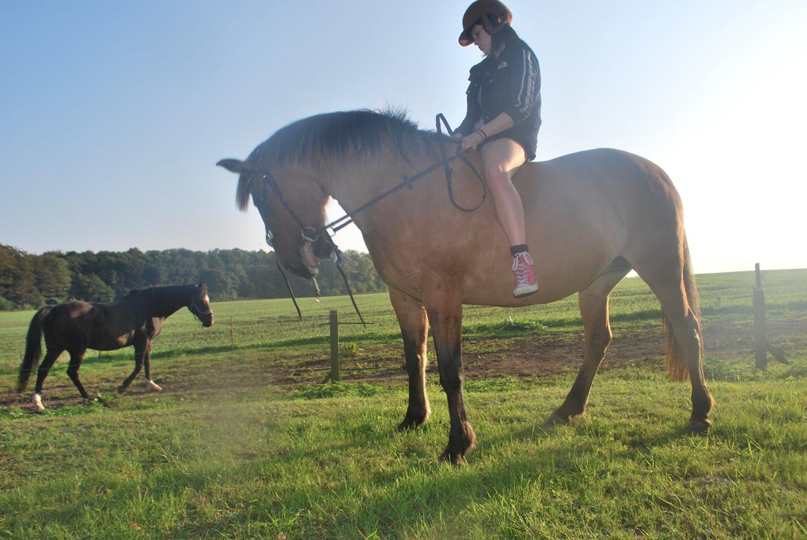 Anden særlig race Tøsen<3 billede 8