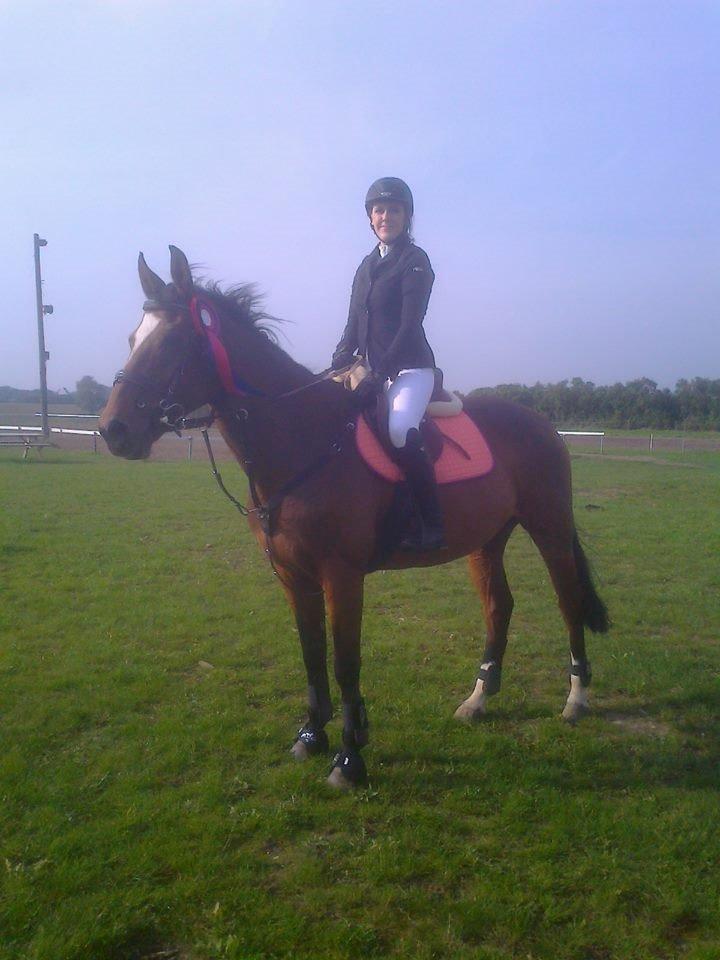 Dansk Varmblod Le´Anna billede 1