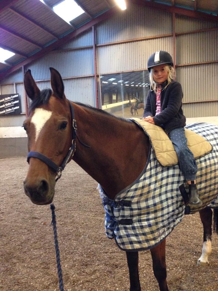 Dansk Varmblod Le´Anna billede 6