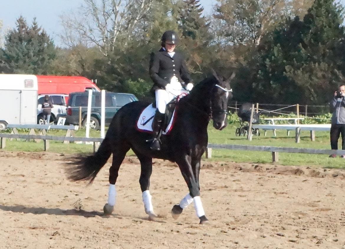 Oldenborg Tulle Engholm billede 32