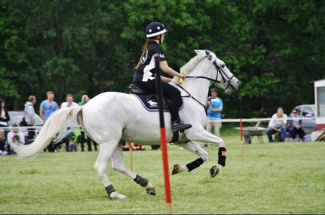 Anden særlig race sølvmosegårds Seniorita (Molly) <3 billede 2