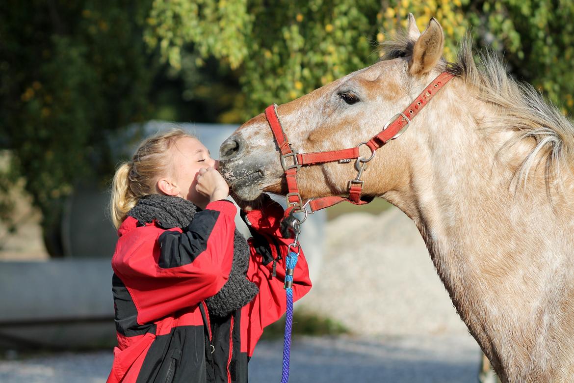 Anden særlig race Little Kahlua  billede 18