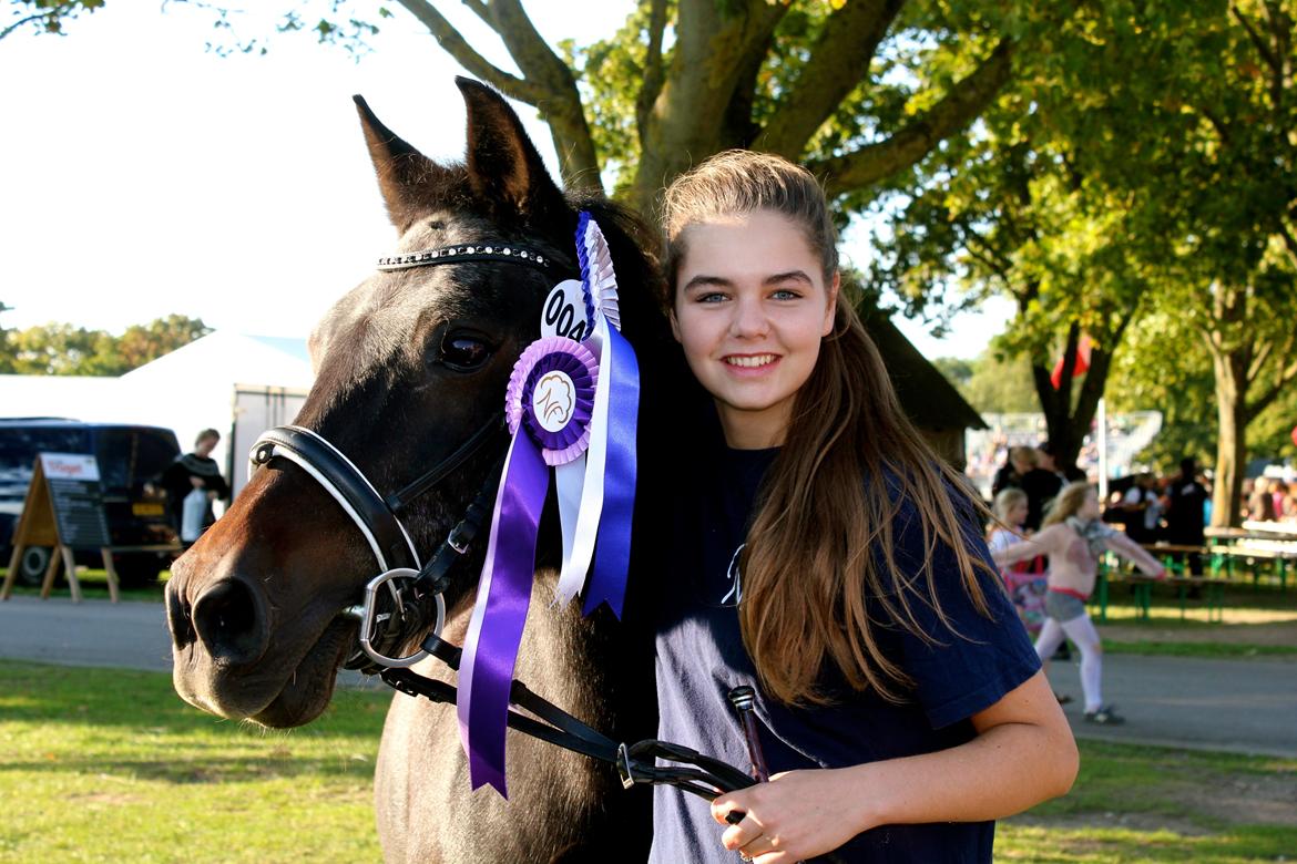 New Forest Staldbakkens Ibrahim <3 - "Ingen over, alle under" <3 billede 1