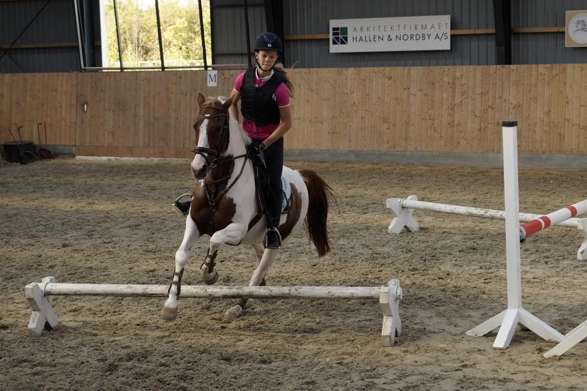 Tysk Sportspony Schirin 2(Sisse) - 1. undervisning V/Tommy Lundby. billede 16