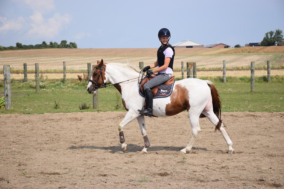 Tysk Sportspony Schirin 2(Sisse) - Første gang jeg prøvede hende. billede 12