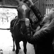 Anden særlig race Trigger