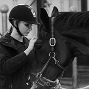 Dansk Varmblod Danglo's Omega