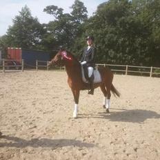 Anden særlig race Beauty