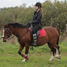 Anden særlig race Hesdalskærs Victoria <3