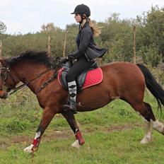 Anden særlig race Hesdalskærs Victoria <3