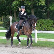 Oldenborg Højbodals Malix