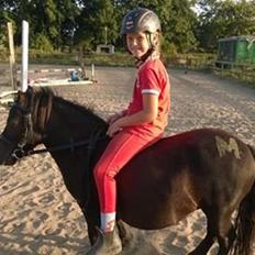 Shetlænder Ringemarkens Duchess