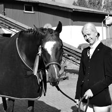 Dansk Varmblod Ejerbækgårds Zaggary -Røde