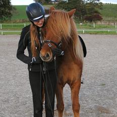 Islænder Trítill Fra Palmevænge