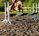 Welsh Pony af Cob-type (sec C) Lyngvejens Lukas