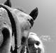 Fuldblod (XX) Macho Dancer (Ire)