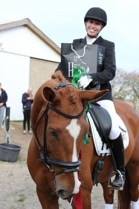 Dansk Varmblod Storgaardens Rialto - Udvidet dressurstævne, september 2014 billede 2