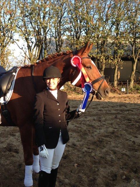 Dansk Varmblod Storgaardens Rialto - Da vi blev klubmestre, oktober 2014 billede 17