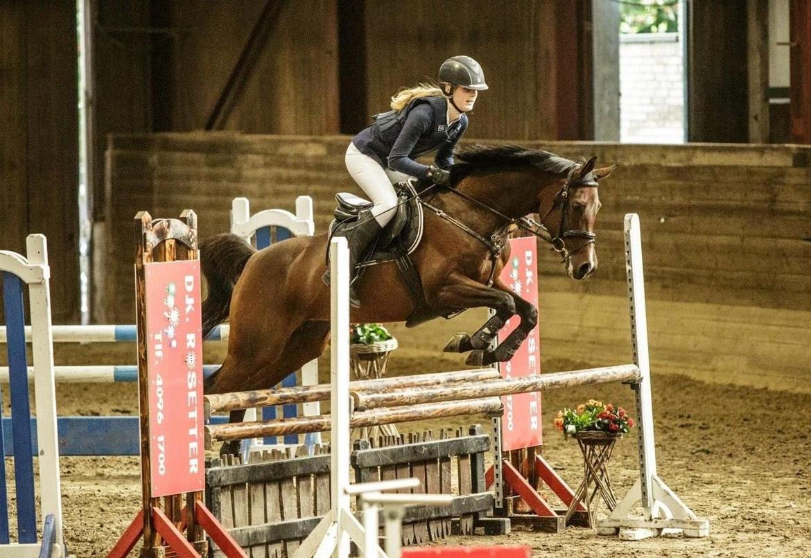 Anden særlig race Darling Marie - La1* - Fyensrideklub billede 3