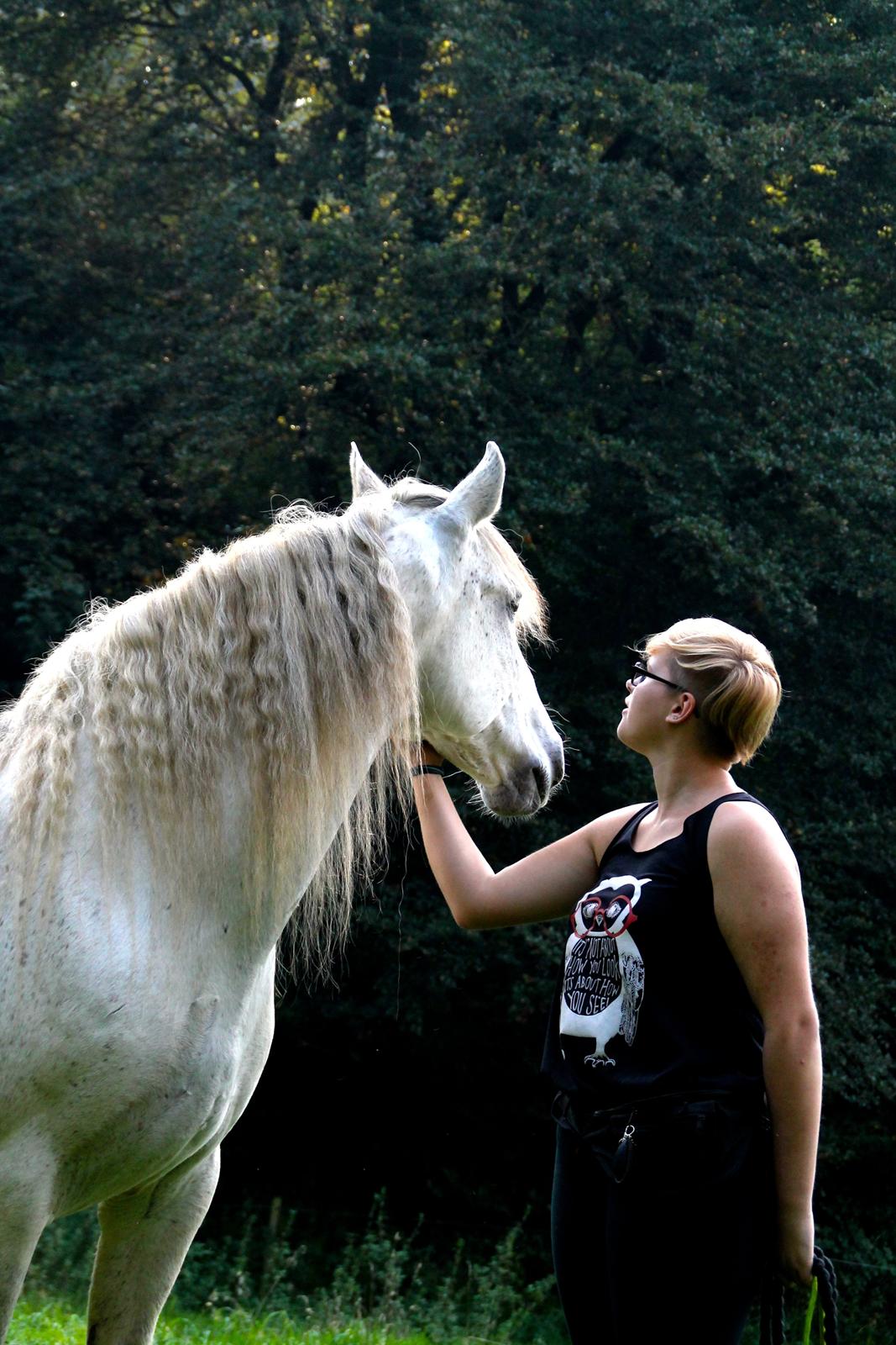 Pura Raza Española Hidalgo billede 25