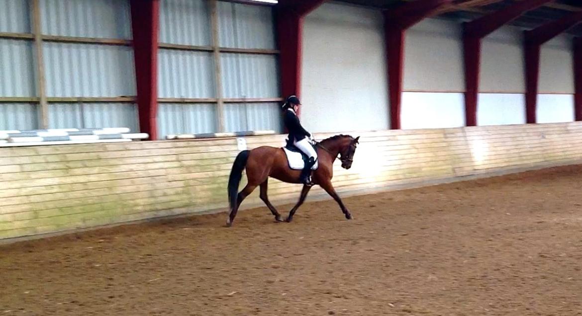 DSP Nikita billede 21