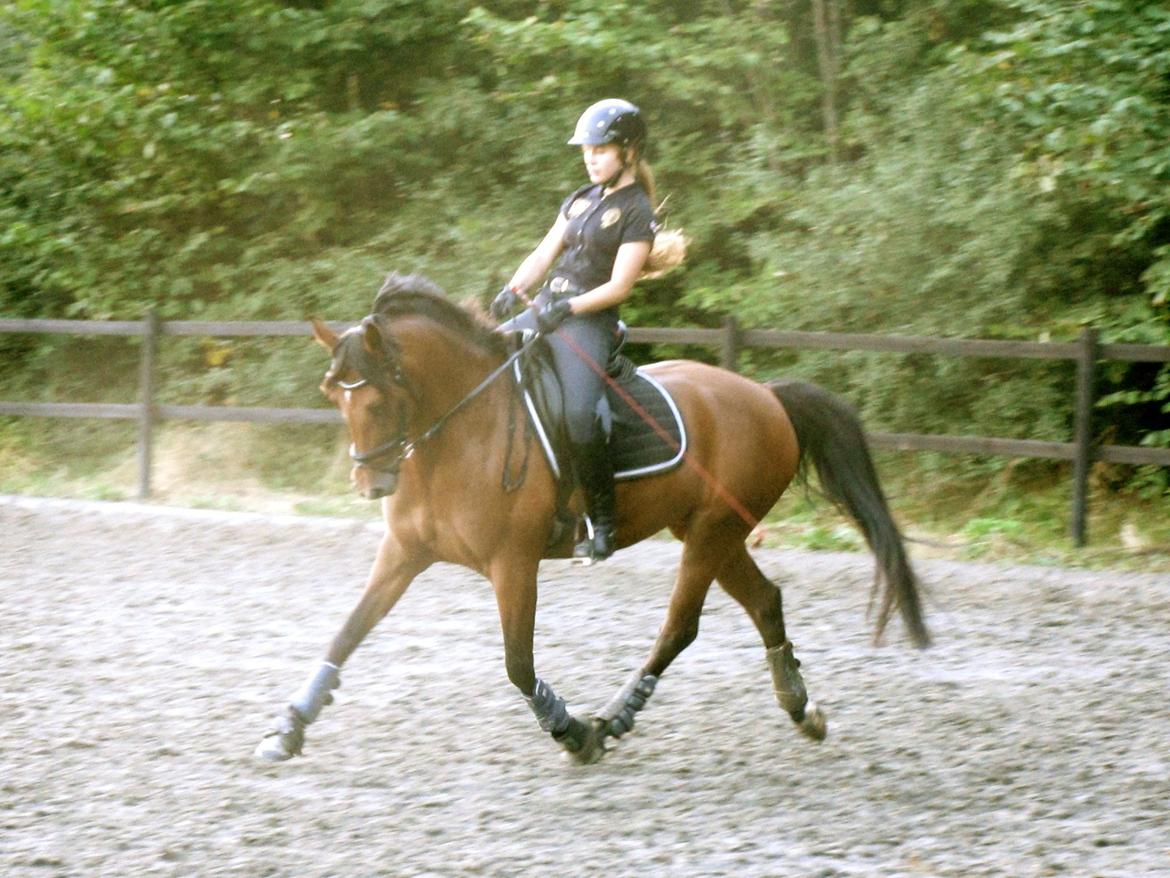 DSP Nikita - Træning  billede 19