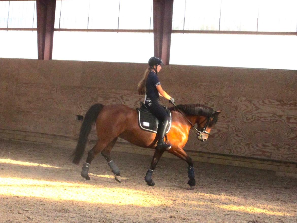 DSP Nikita billede 22