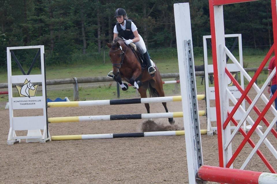 Anden særlig race Beauty billede 1