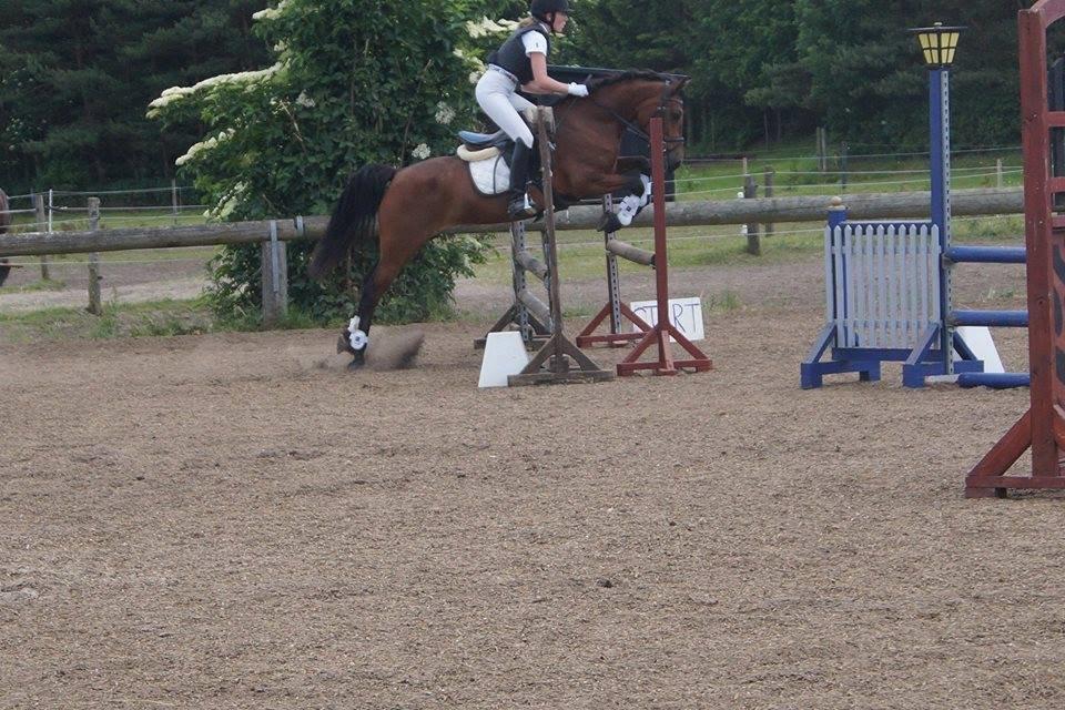 Anden særlig race Beauty billede 4