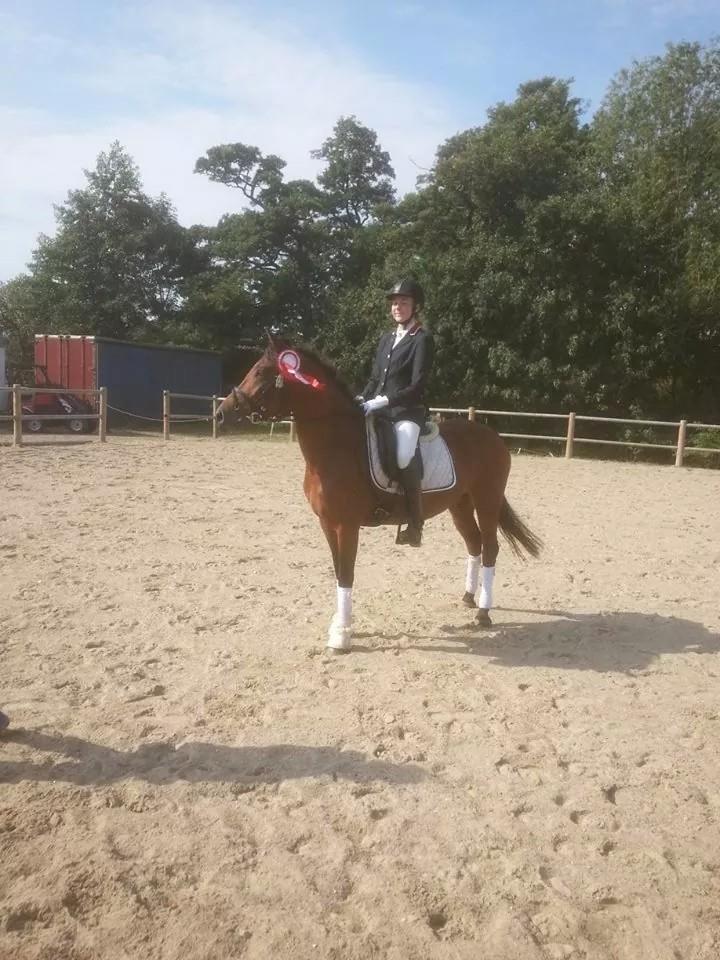 Anden særlig race Beauty - LB1  billede 3