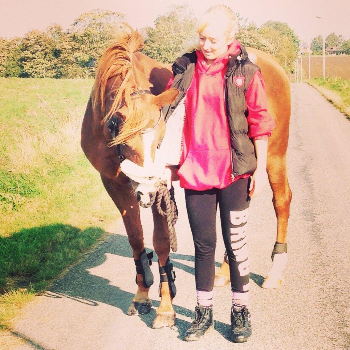 Arabisk fuldblod (OX) Dancer <3 billede 11